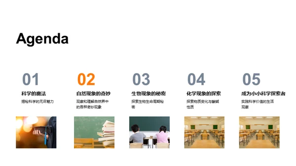 科学小探索家