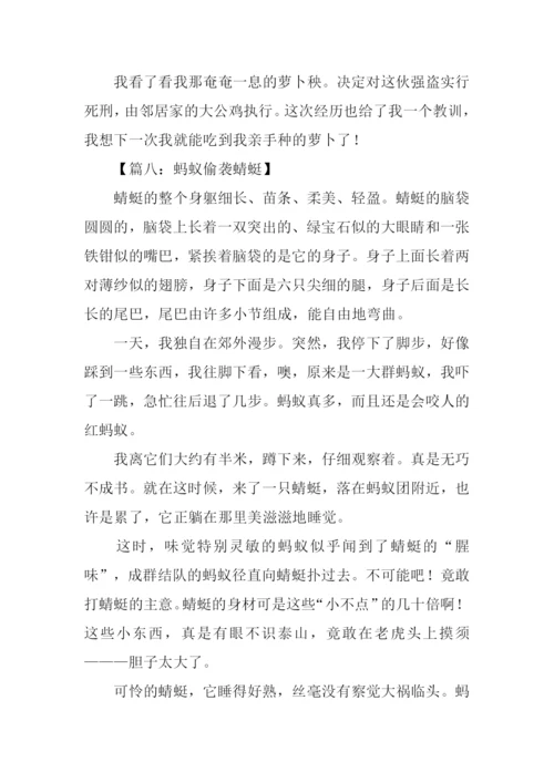 观察昆虫的小练笔.docx