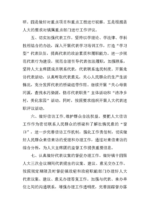 乡镇人大工作总结3000字