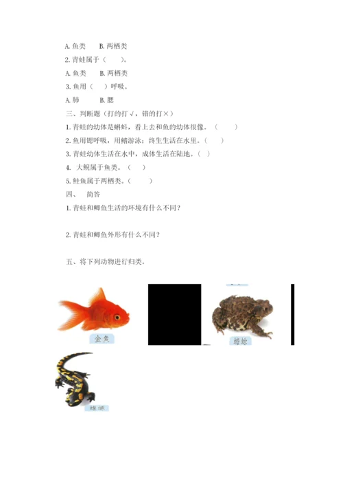 【新教材】粤教粤科版小学科学三年级上册：全册教案教学设计.docx