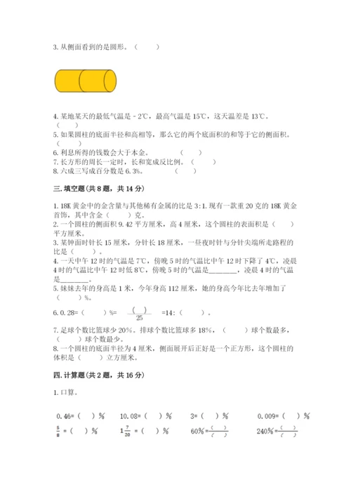 小升初六年级期末试卷带答案（实用）.docx