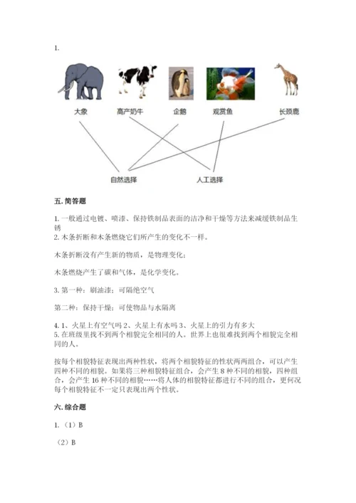教科版六年级下册科学期末测试卷可打印.docx