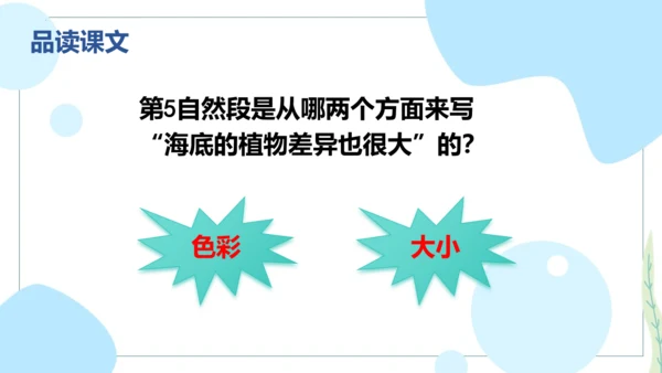第23课 《海底世界》第二课时（教学课件）