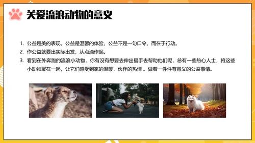 关爱流浪动物PPT模板