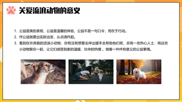 关爱流浪动物PPT模板
