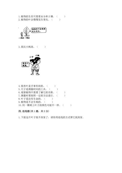 教科版科学一年级上册期末测试卷精品（精选题）.docx