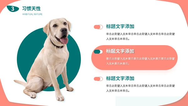宠物店猫狗饲养心得经验分享通用PPT模板