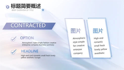 公司品牌策划方案工作总结动态PPT
