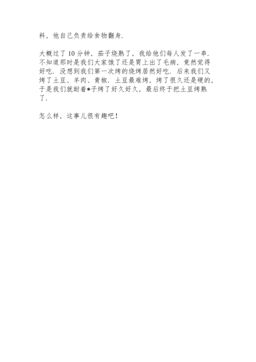 烧烤之点火趣事六年级记叙文.docx