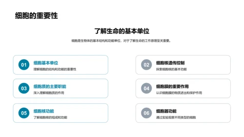 细胞结构与功能PPT模板