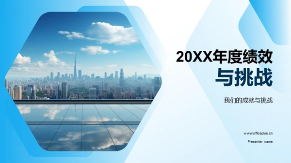 20XX年度绩效与挑战