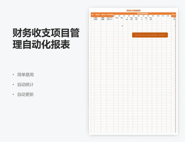 财务收支项目管理自动化报表