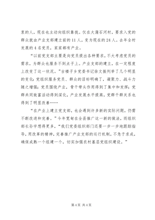 产业建支部：让党组织“活”起来.docx