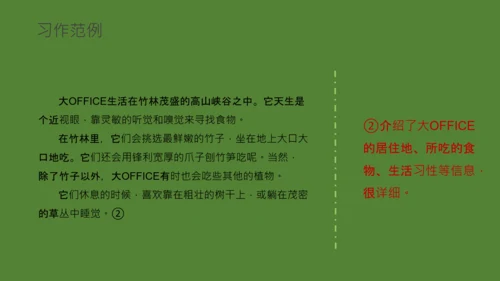 国宝大熊猫语文课教学课件通用PPT模板