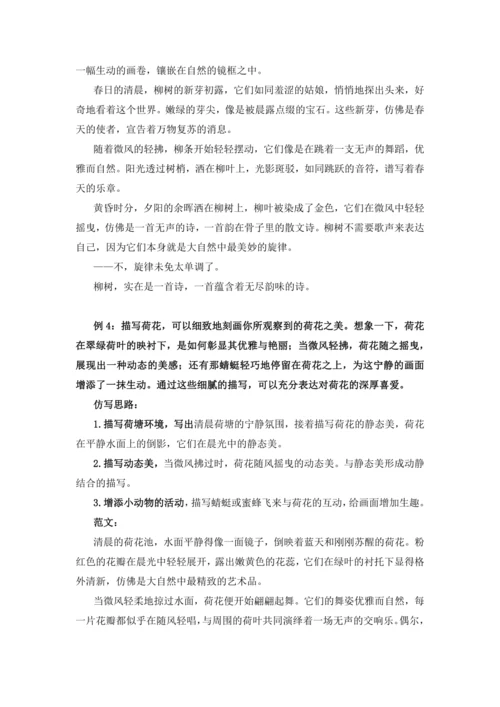 统编版2024-2025学年语文五年级上册跟着课文学写作：1.白鹭 仿写训练  运用对比表现外在美，
