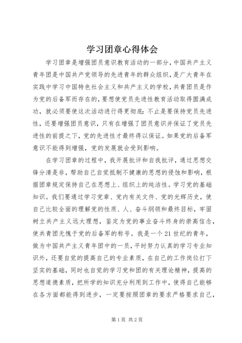 学习团章心得体会 (3).docx