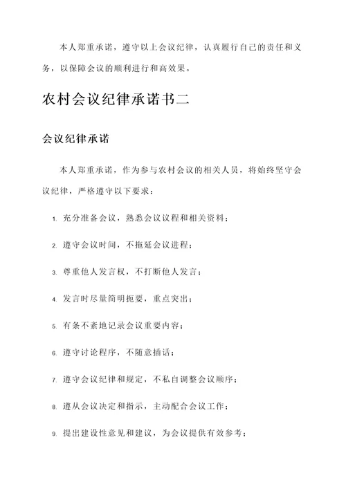 农村会议纪律承诺书