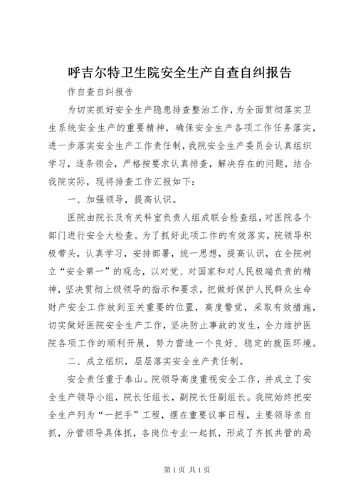 呼吉尔特卫生院安全生产自查自纠报告.docx