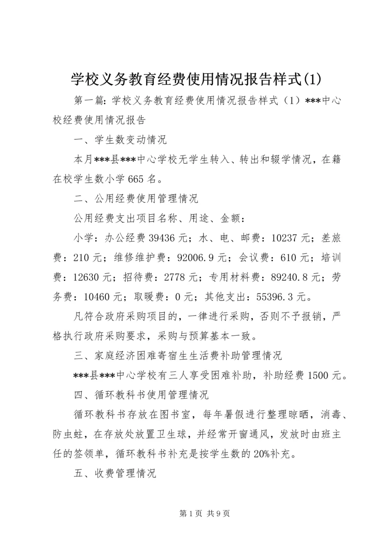 学校义务教育经费使用情况报告样式(1).docx