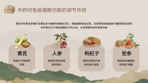 浅棕色中国风中医药对免疫系统调节PPT