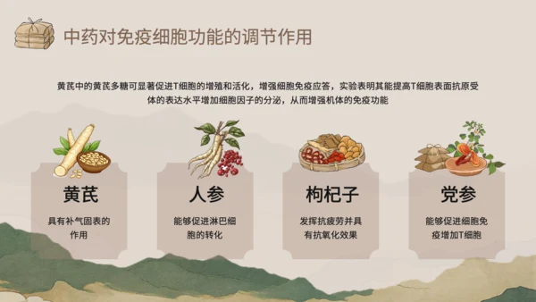 浅棕色中国风中医药对免疫系统调节PPT