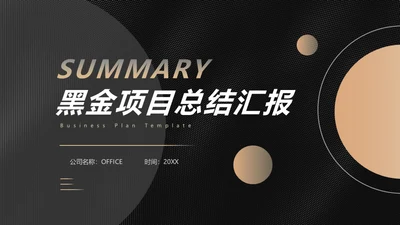 黑金商业计划投资收益报告通用PPT模板