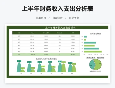 上半年财务收入支出分析表