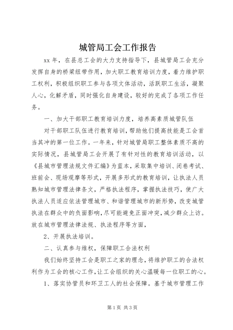 城管局工会工作报告 (2).docx