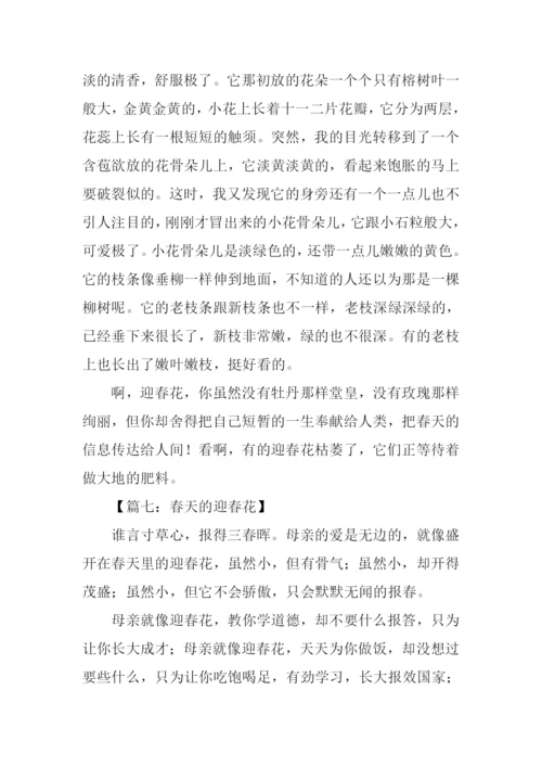 春天的迎春花作文400字.docx