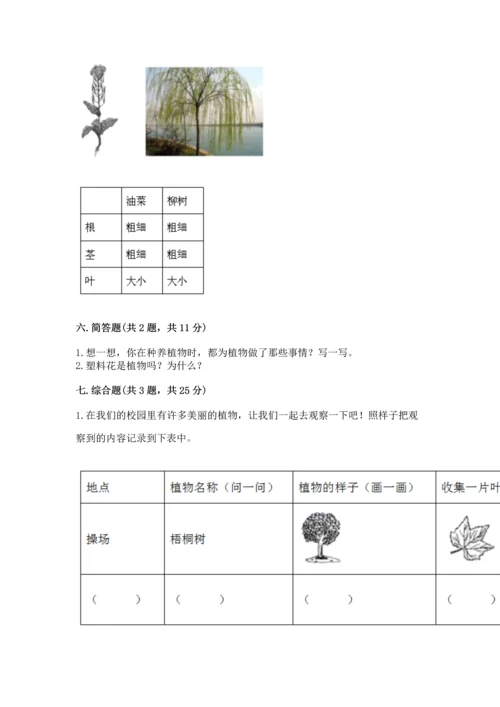 教科版科学一年级上册第一单元《植物》测试卷及参考答案【完整版】.docx