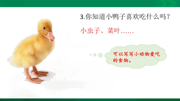 部编版二年级语文看图写话写动物课件