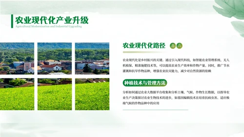 绿色文艺风乡村建设介绍PPT模板