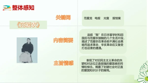 七年级语文上册第三单元整本书阅读《朝花夕拾》课件