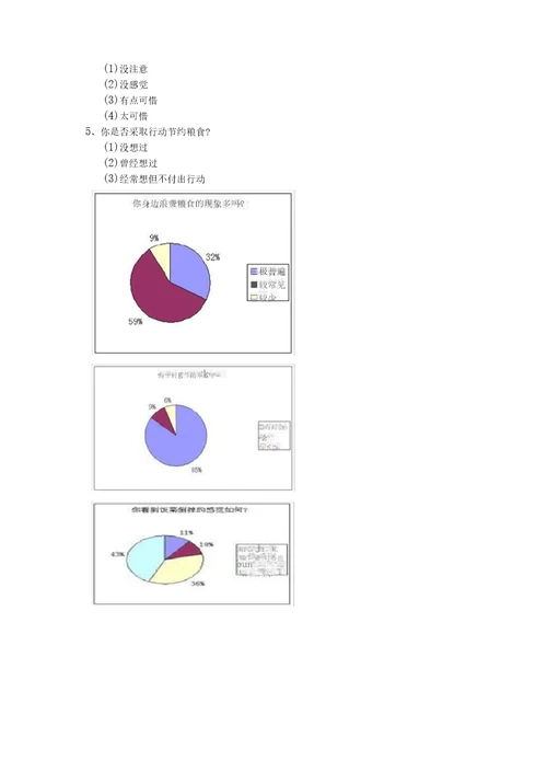 节约粮食调查报告