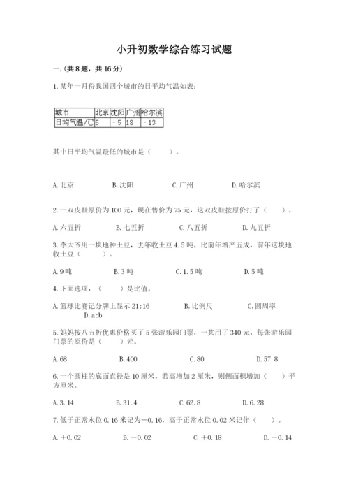 小升初数学综合练习试题（精练）.docx