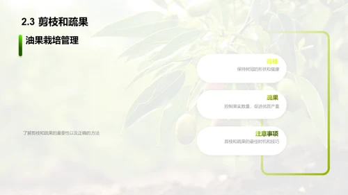 油果种植之全方位解析