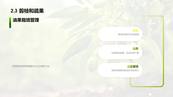 油果种植之全方位解析