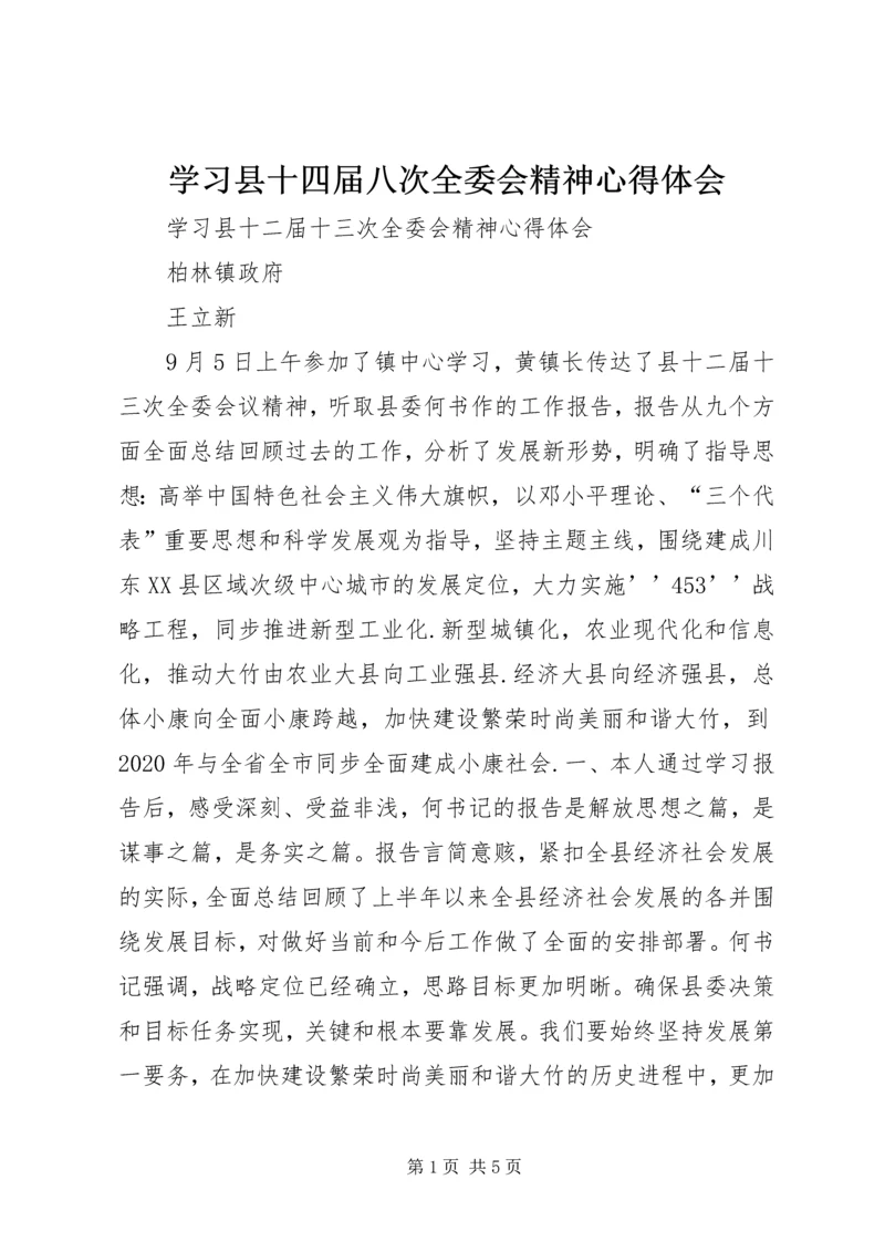 学习县十四届八次全委会精神心得体会.docx