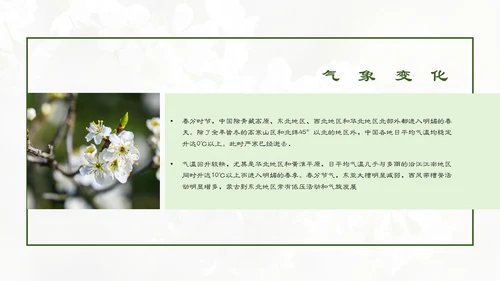春分春天的白花通用PPT模板