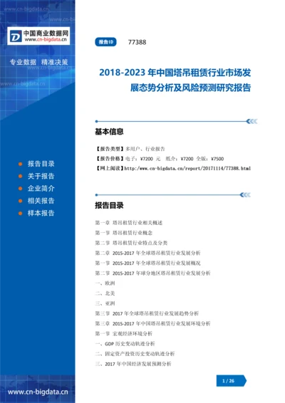 2018-2023年中国塔吊租赁行业市场发展态势分析及风险预测研究报告.docx