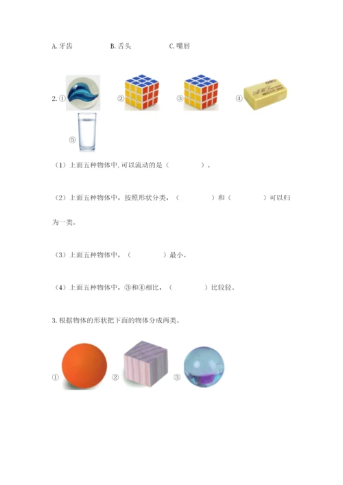 教科版一年级下册科学期末测试卷含答案【巩固】.docx