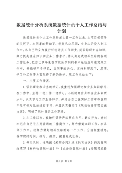 数据统计分析系统数据统计员个人工作总结与计划.docx