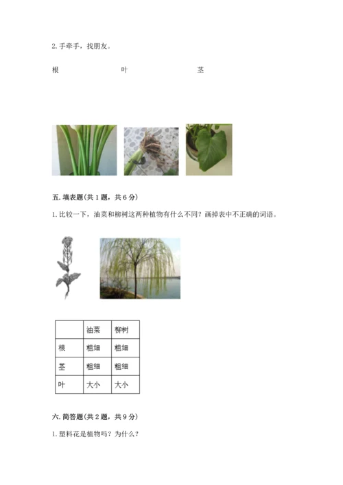教科版科学一年级上册第一单元《植物》测试卷（精选题）.docx