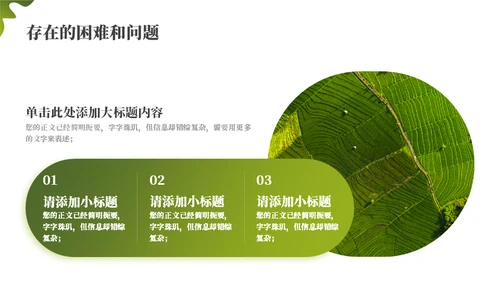 绿色乡村振兴项目工作汇报通用PPT模板
