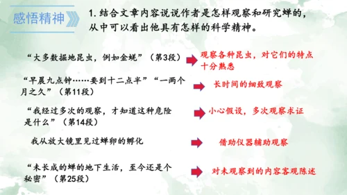 第21课《蝉》课件