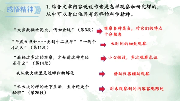 第21课《蝉》课件