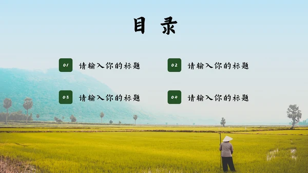 青年在家乡建设中的使命工作汇报PPT模板