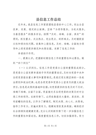 县信息工作总结 (4).docx