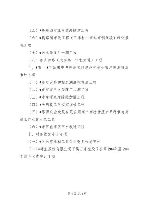 政府审计工作计划.docx