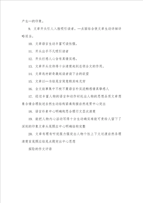 2021年探险的作文评语评价作文的评语
